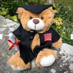 26cm Barnaby Graduation Bear