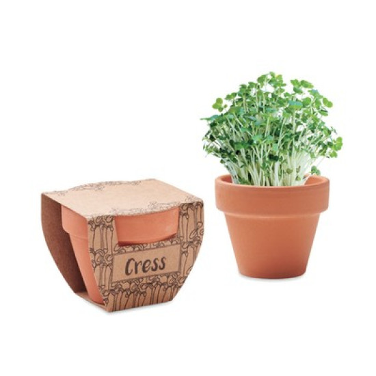 Cress Terracotta Pot