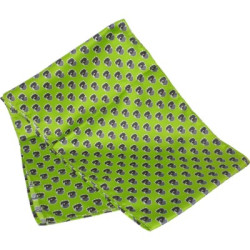 Printed Silk Scarf (Long: Screen Print)