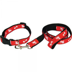 Printed Satin Applique Dog Collar