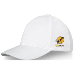 Drake 6 panel cotton trucker cap