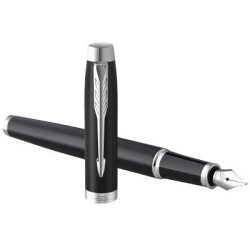 Parker IM Fountain pen