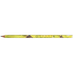 BIC Evolution Classic Cut End Digital Ecolutions Pencil