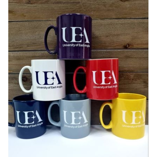 Colour Cambridge Mug